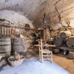 Casa-CelleraTer-WEB-LOGO (80)