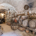 Casa-CelleraTer-WEB-LOGO (81)