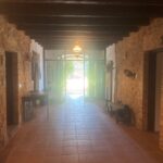 IMG_2730 – copia